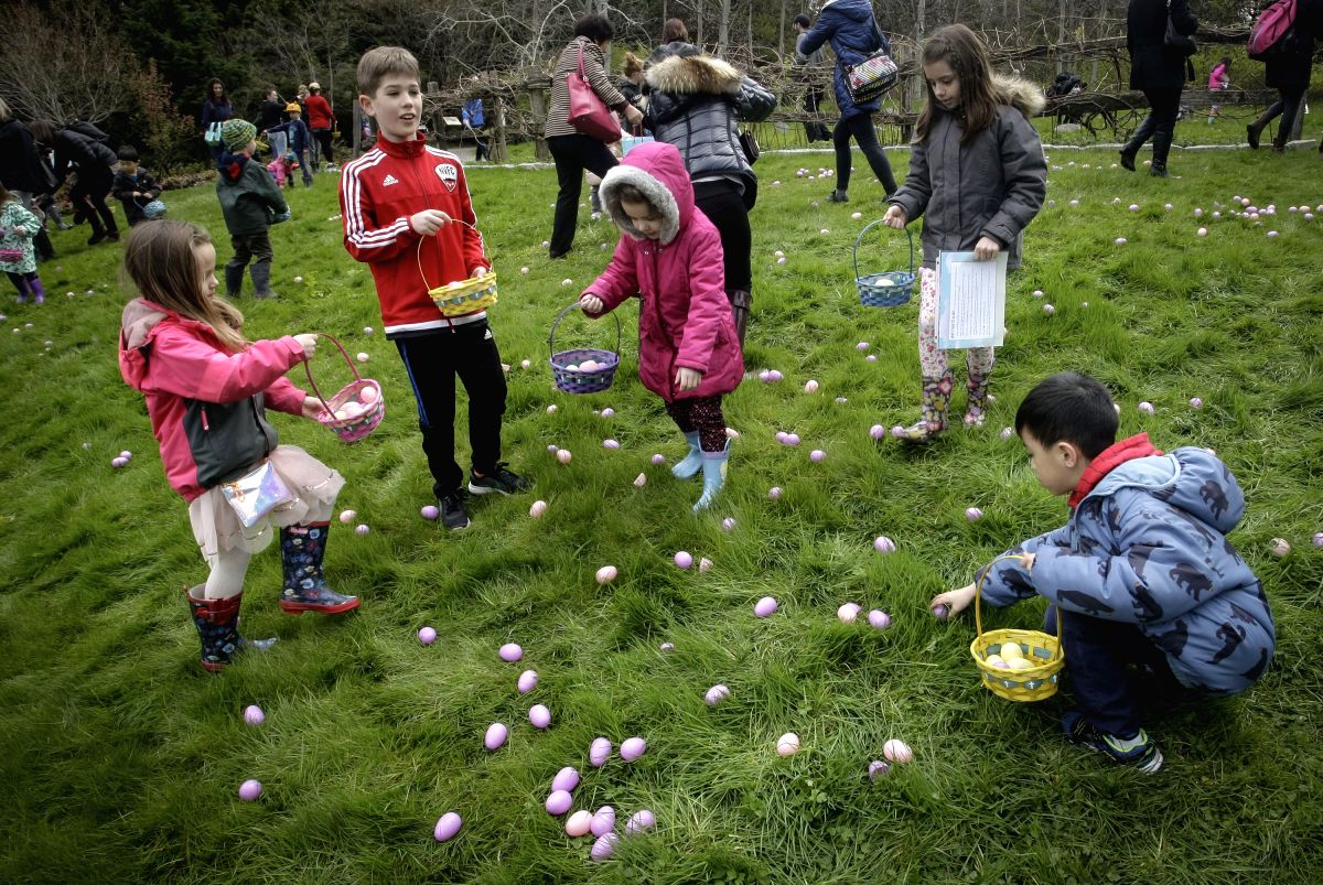 Easter egg hunt is on!